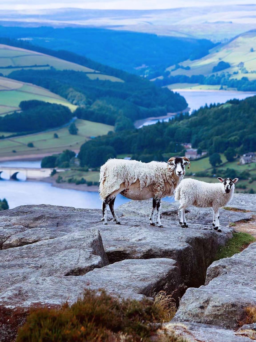 峰区国家公园的Bamford Edge