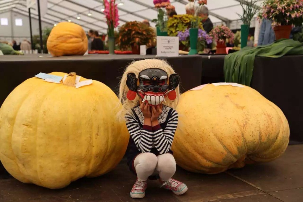 Harrogate Flower Show