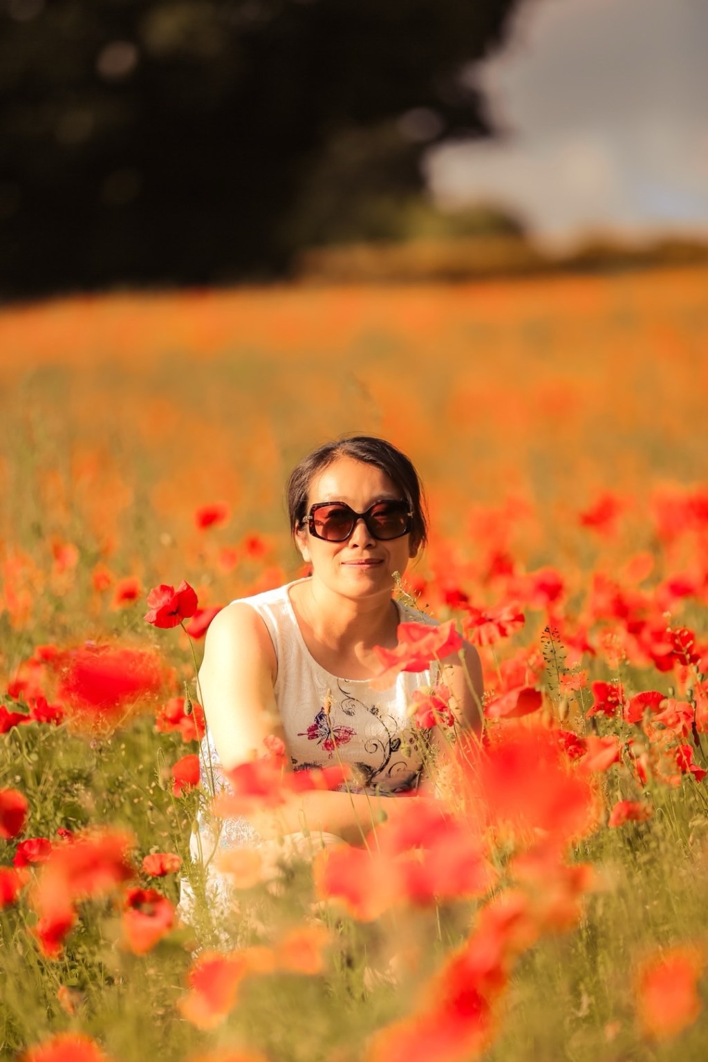 罂粟花田的作品