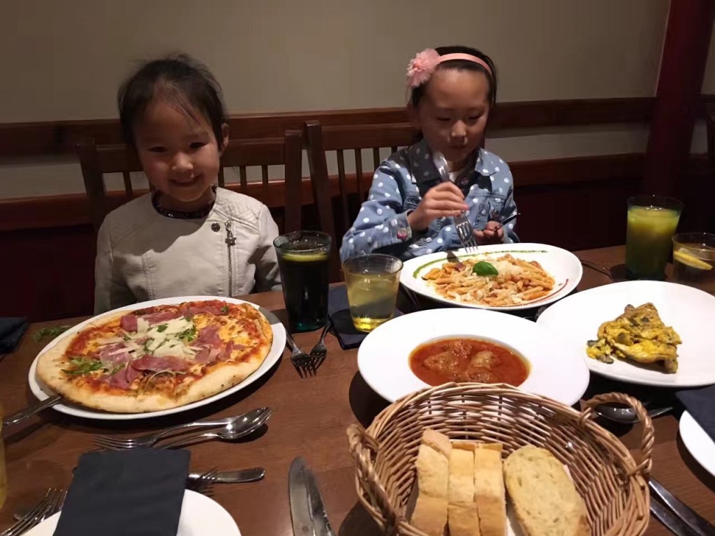 吃不惯的意大利菜