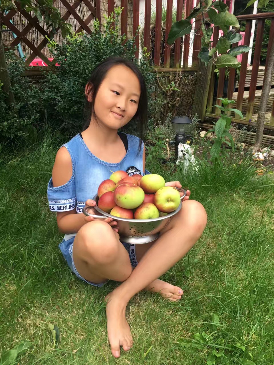 花园里的苹果大丰收