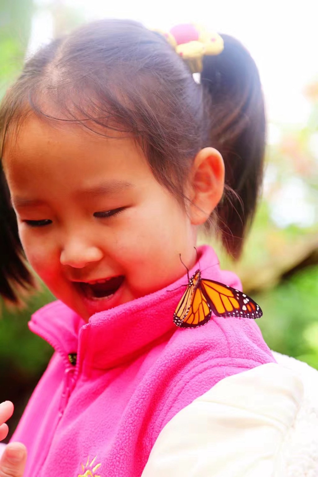 无标题文章 3512