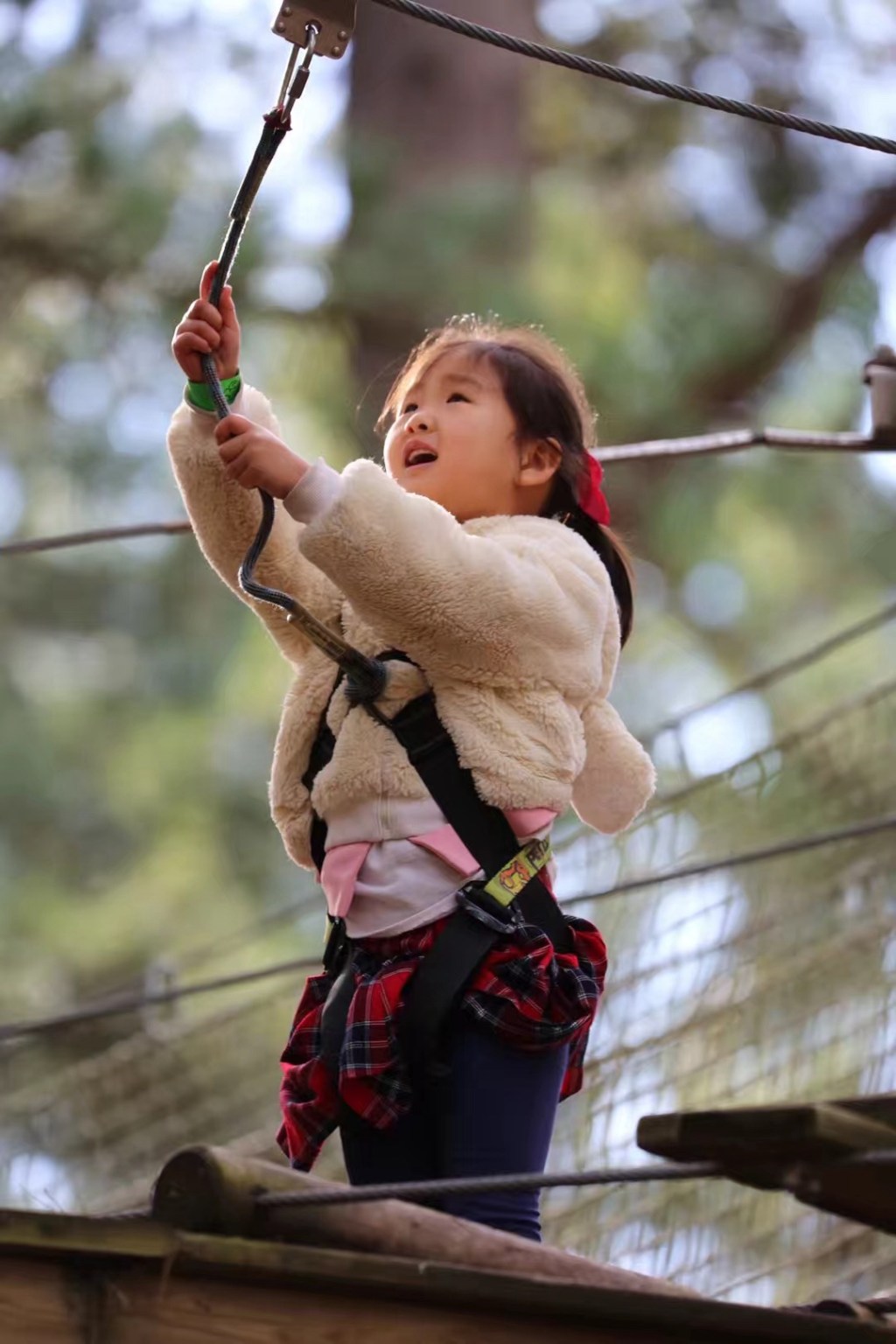 诺丁汉森林公园