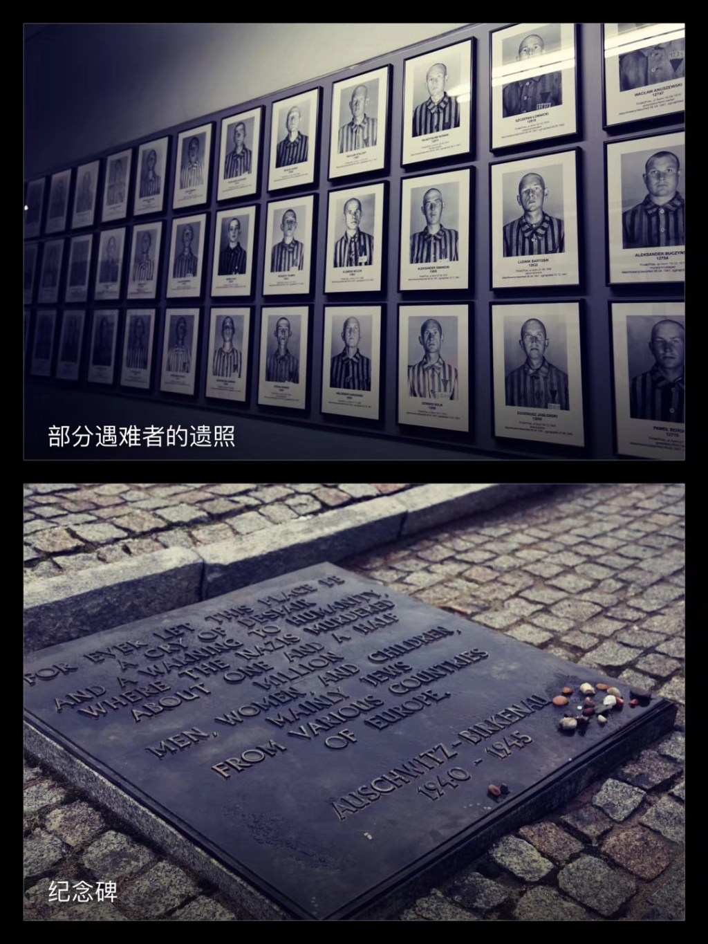 奥斯维辛集中营