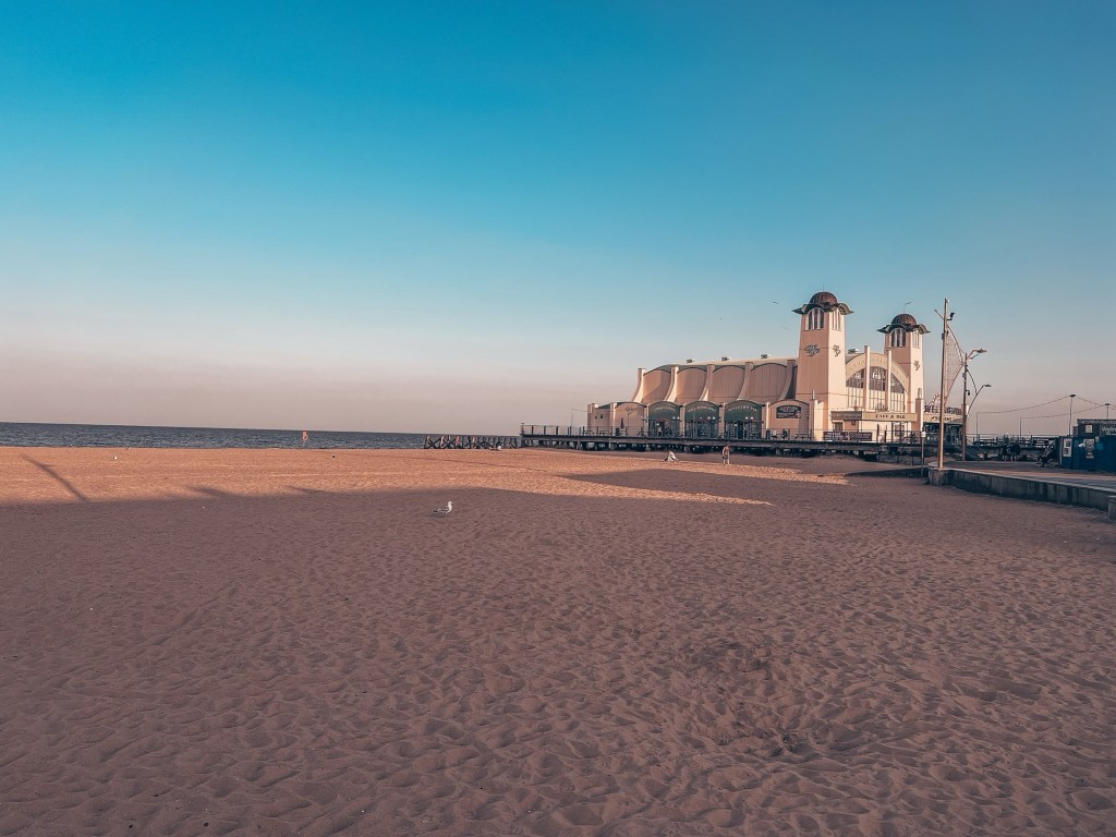 大鸭嘴 Great Yarmouth