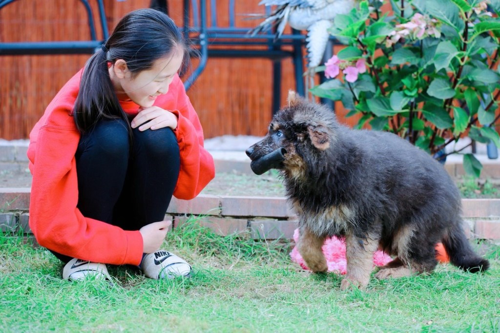 芊芊入选校刊编辑部