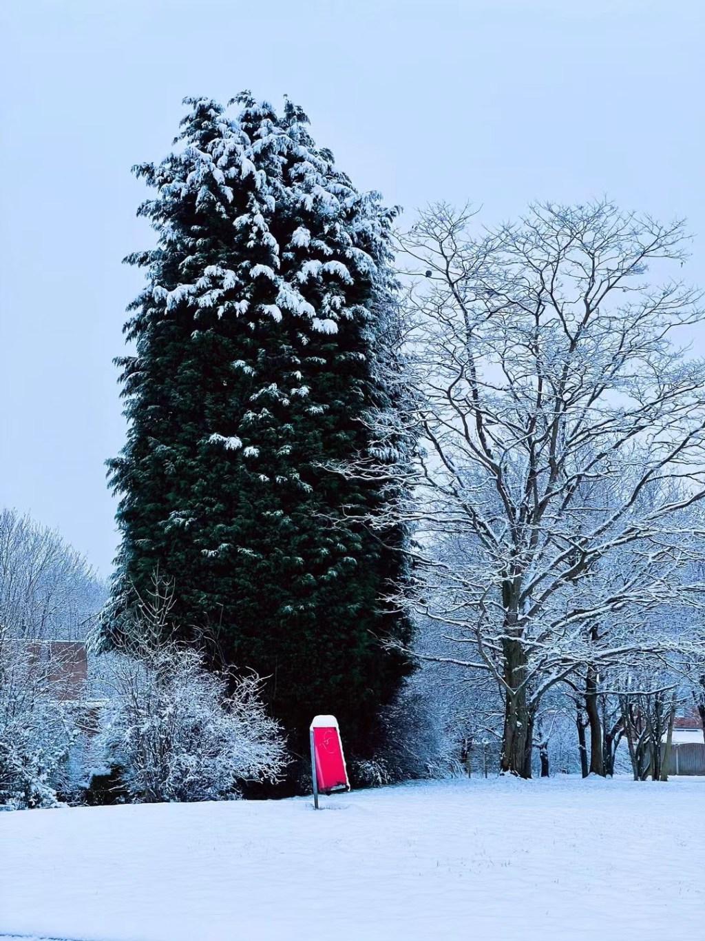 小区雪景