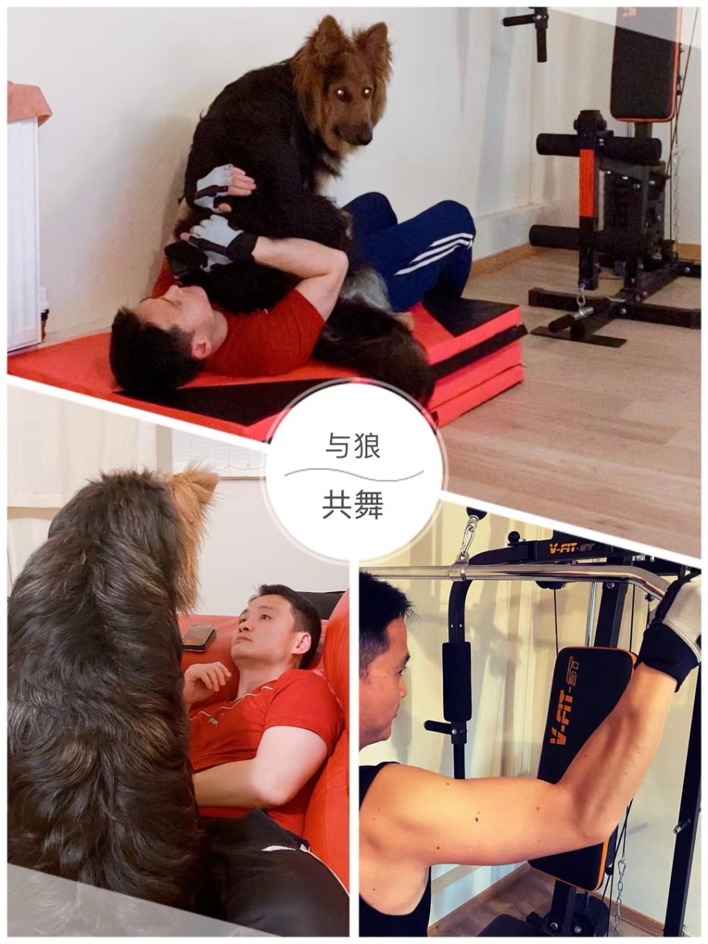 中年健身