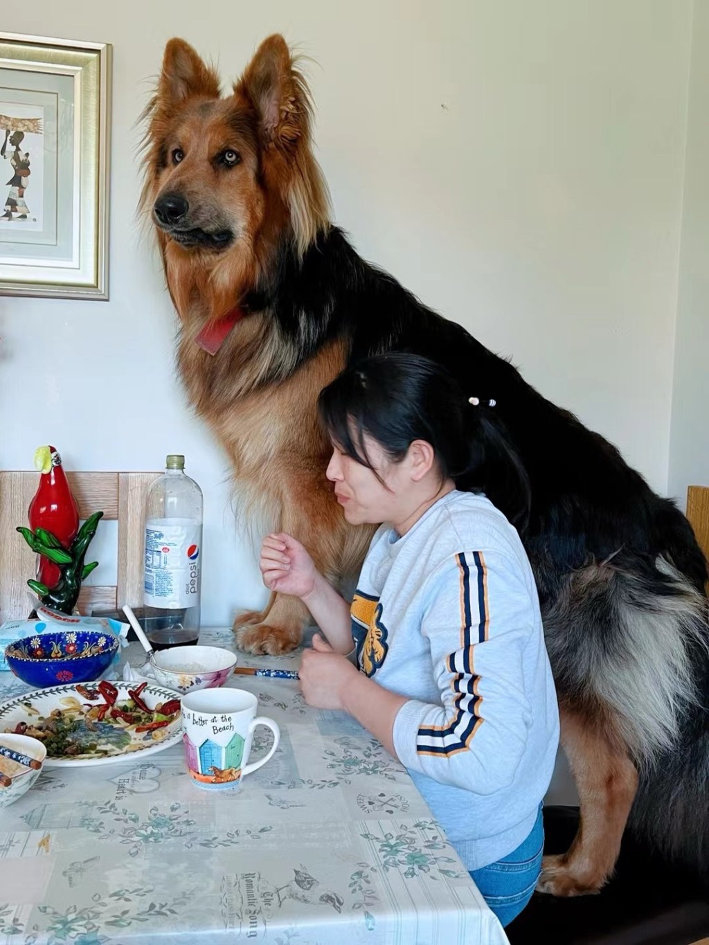 抢食物的䖔